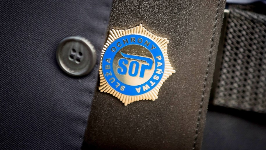 Odznaka SOP //Łukasz Gągulski /PAP