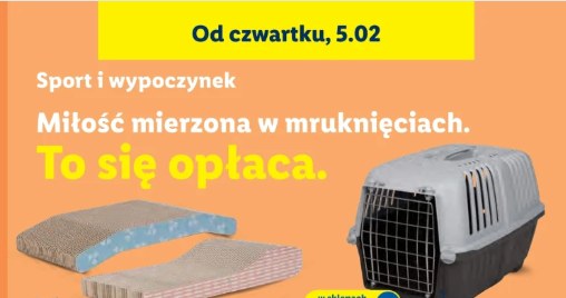 Oferta Lidla dla kotów /Lidl /INTERIA.PL