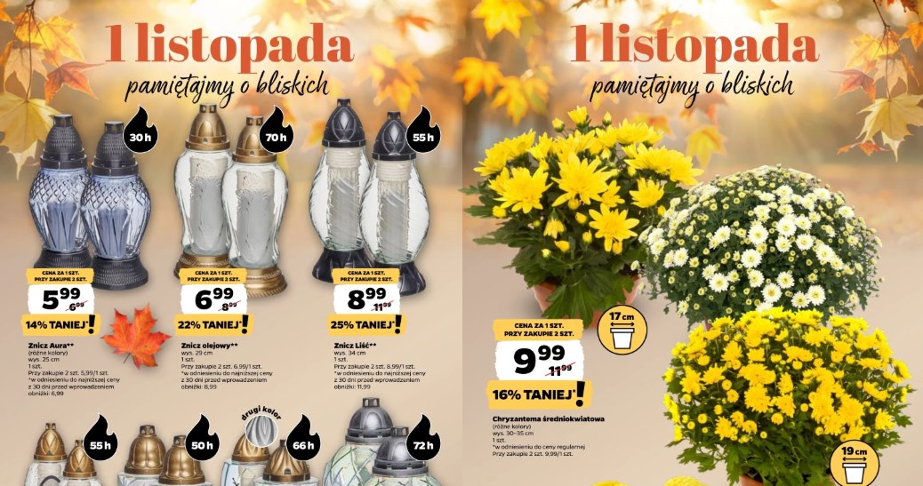 Oferta zniczy i chryzantem z najnowszej gazetki Netto /Netto /INTERIA.PL