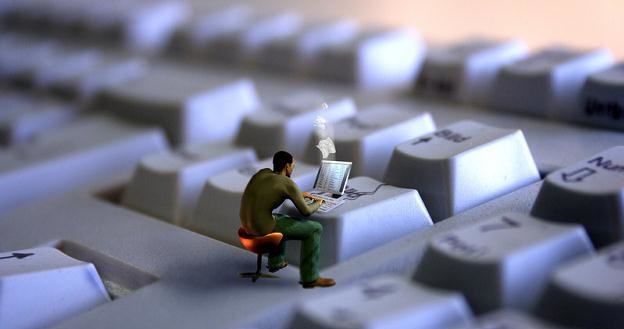 Oferty pracy są skierowane do specjalistów, studentów oraz absolwentów kierunków informatycznych /&copy; Panthermedia