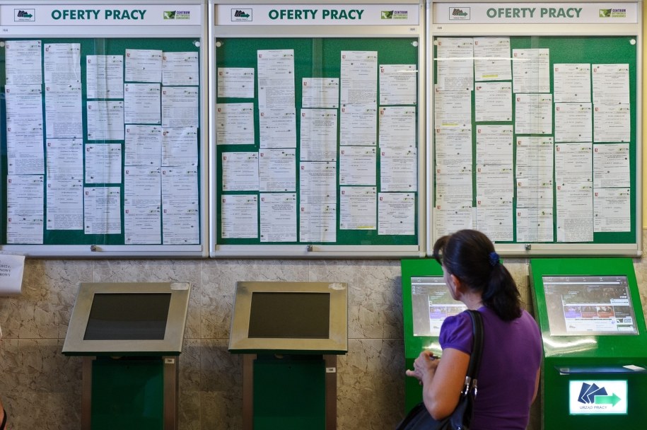 Oferty w urzędzie pracy /Wojciech Pacewicz /PAP