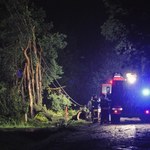 Ofiara nawałnicy przy granicy z Polską. Drzewo przygniotło mężczyznę