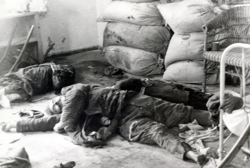 Ofiary mordu w Maciejowie luty 1944 r./Archiwa IPN /reprodukcja: Maciej Kaczanowski /Reporter