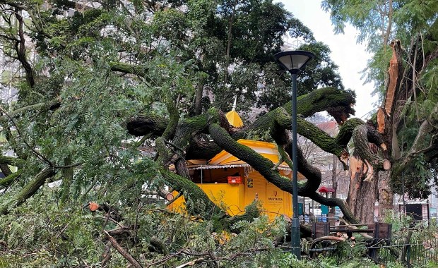 Ofiary śmiertelne, setki rannych i tysiące osób bez prądu. Kristin uderzył w Portugalię
