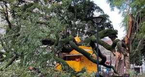 Ofiary śmiertelne, setki rannych i tysiące osób bez prądu. Kristin uderzył w Portugalię