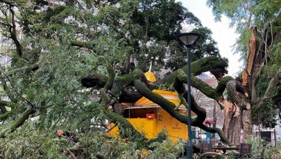 Ofiary śmiertelne, setki rannych i tysiące osób bez prądu. Kristin uderzył w Portugalię