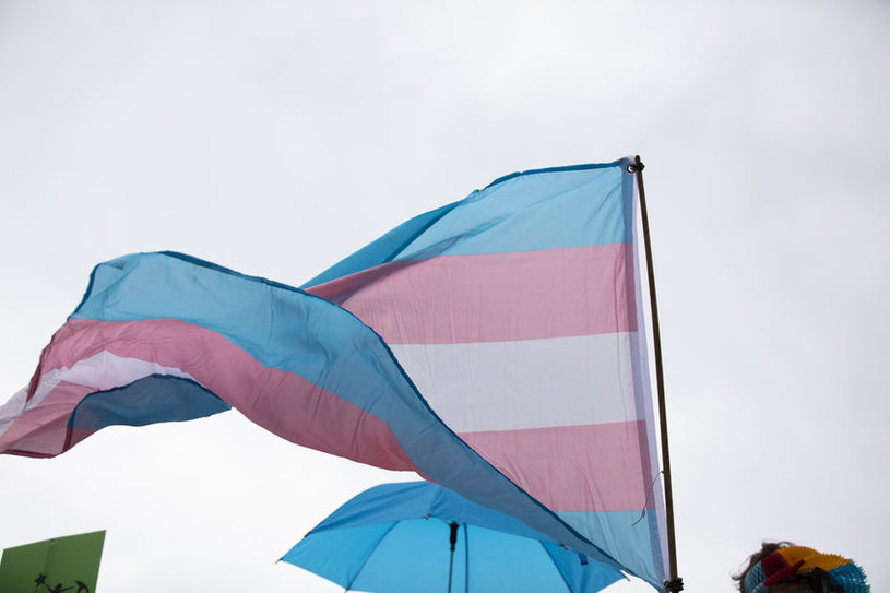 Oficjalna flaga osób transpłciowych /123RF/PICSEL
