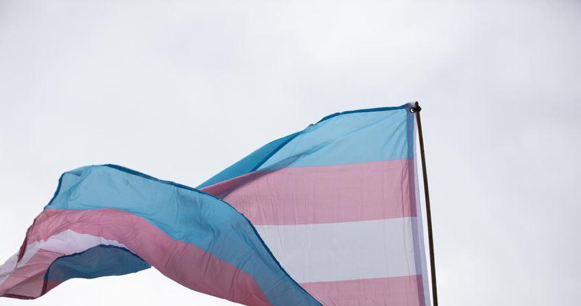 Oficjalna flaga osób transpłciowych /123RF/PICSEL