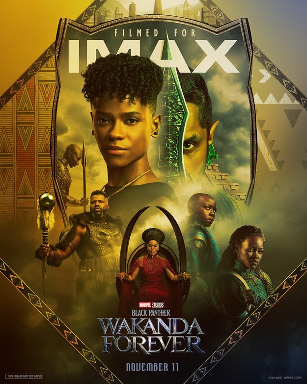 Oficjalny plakat filmu Czarna Pantera: Wakanda w moim sercu /MARVEL ENTERPRISES/MARVEL STUDIOS/VALHALLA MOTION PICTURES/Album Online /Materiały prasowe