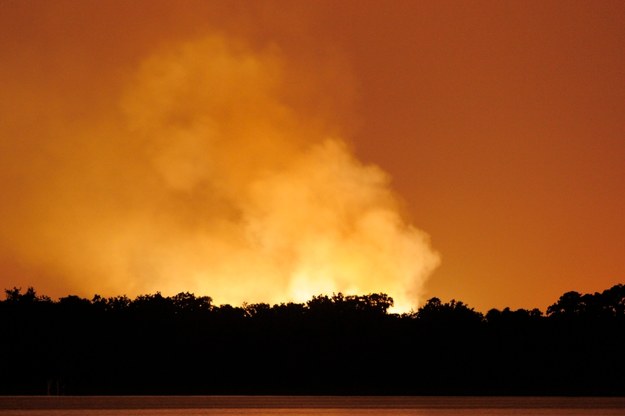 Ogień było widać z odległości kilku kilometrów /SCOTT A. MILLER /PAP/EPA