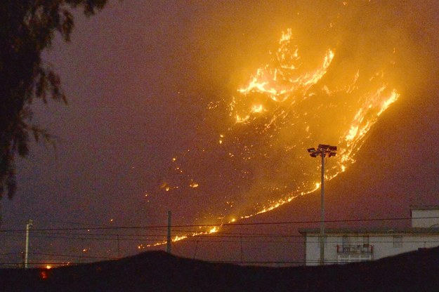 Ogień na wzgórzach otaczających miasto Ciaculli, niedaleko Palermo we Włoszech /PAP/EPA/STR /PAP