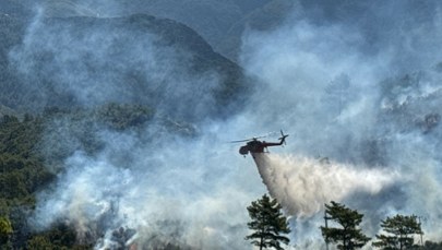 Ogień nie oszczędza Turcji. Pożary w kilku prowincjach