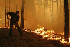 Ogień szaleje we wsi Golovanovo w Rosji