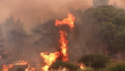 Ogień trawi Chorwację. Służby w akcji, chaos, ewakuacja [ZDJĘCIA, FILMY]