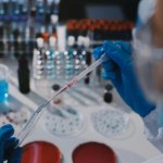 Ogłosili, że pierwszy gatunek epoki lodowcowej zwiększa zasięg w naturze