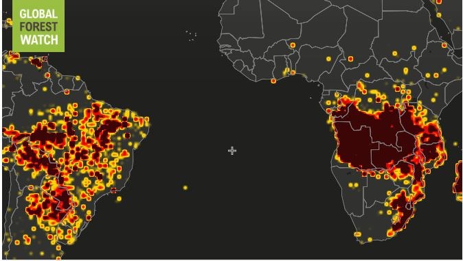 Ogniska zapalne na świecie /www.globalforestwatch.org /