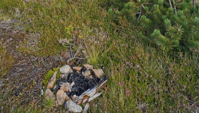 Ognisko w parku narodowym. "Mogło się skończyć pożarem"
