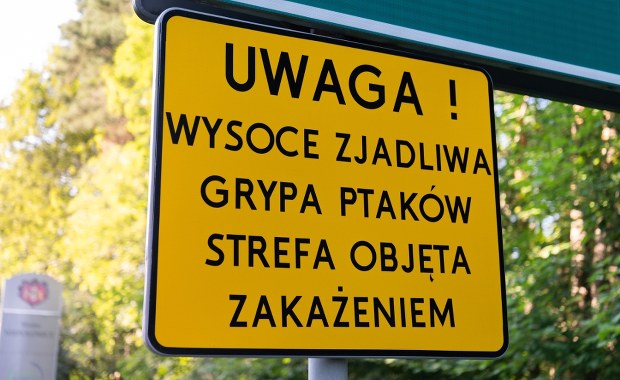 Ognisko wysoce zjadliwej grypy ptaków w Małopolsce