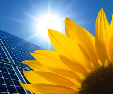 Ogniwa słoneczne na bazie kwiatów, czyli co nowe technologie czerpią z przyrody?