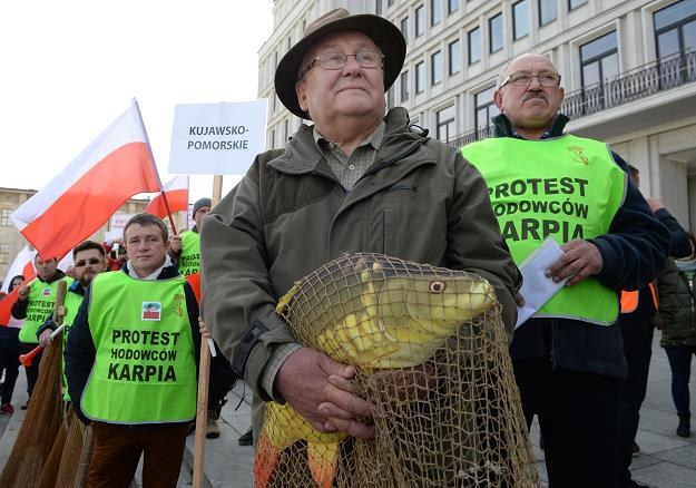 Ogólnopolski protest hodowców karpia /PAP