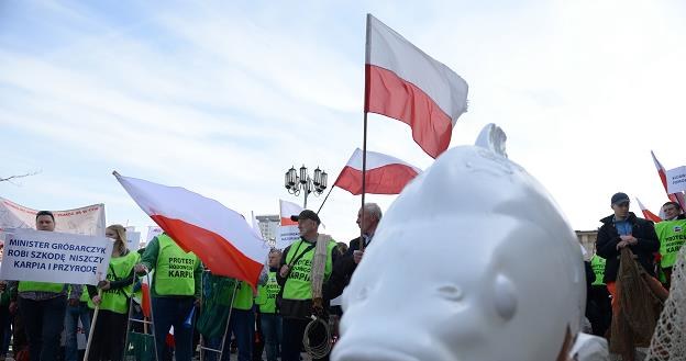 Ogólnopolski protest hodowców karpia /PAP