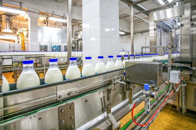 Ograniczenie dostaw energii i gazu spowoduje przerwanie procesów produkcyjnych, co skutkować będzie niedoborem mleka na rynku (zdj. ilustracyjne) /123RF/PICSEL
