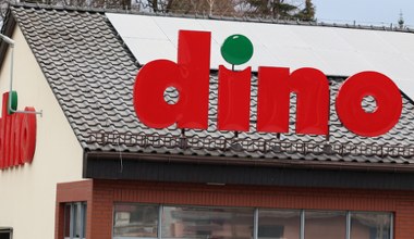 Ogród 2026 startuje w Dino. Tulipany i cebula dymka w nowej ofercie