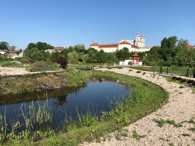 Ogród biblijny to miejsce dobre nie tylko do kontemplacji /Krzysztof Kot /RMF FM