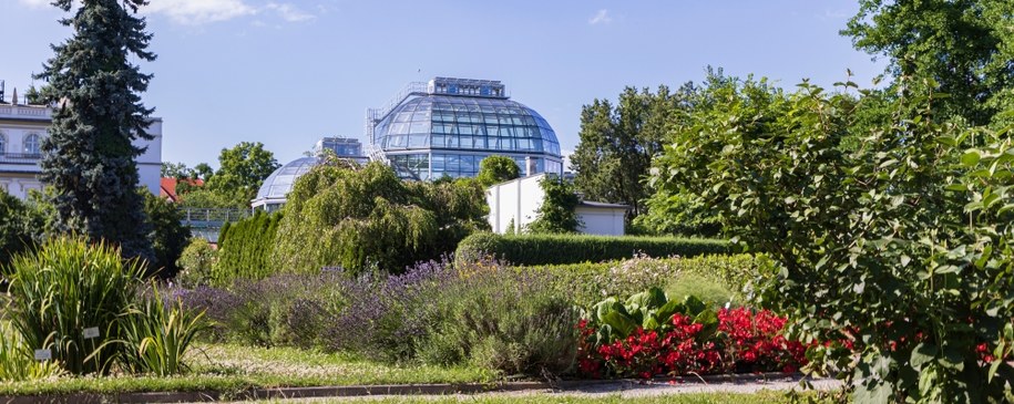 Ogród botaniczny UJ w Krakowie /Shutterstock