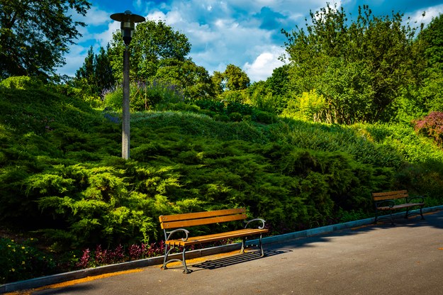 Ogród botaniczny w Lublinie /Shutterstock