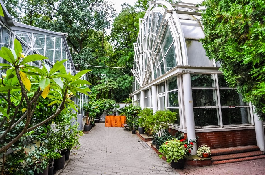 Festiwal Zbiory w warszawskim ogrodzie botanicznym