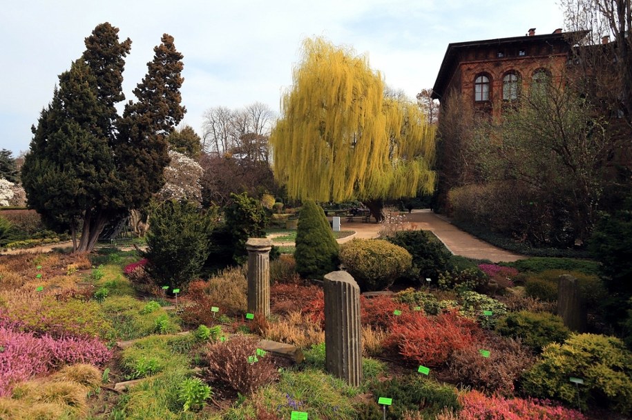Ogród botaniczny we Wrocławiu /Jarosław Jakubczak /Polska Press /East News
