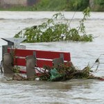 Ogród działkowy po powodzi. Czy można uprawiać warzywa? 