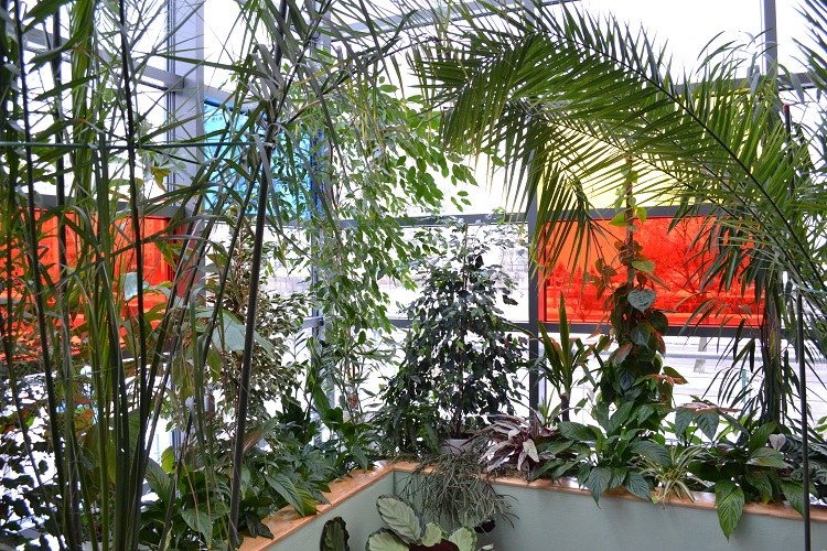 Ogród ma być dla chorych nowatorską formą terapii /Paweł Balinowski /RMF FM