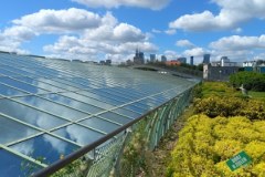 Ogród na dachu Biblioteki Uniwersyteckiej w Warszawie
