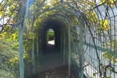 Ogród na dachu Biblioteki Uniwersyteckiej w Warszawie