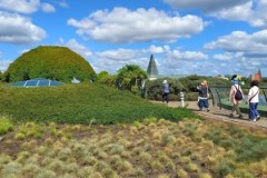 Ogród na dachu Biblioteki Uniwersyteckiej w Warszawie
