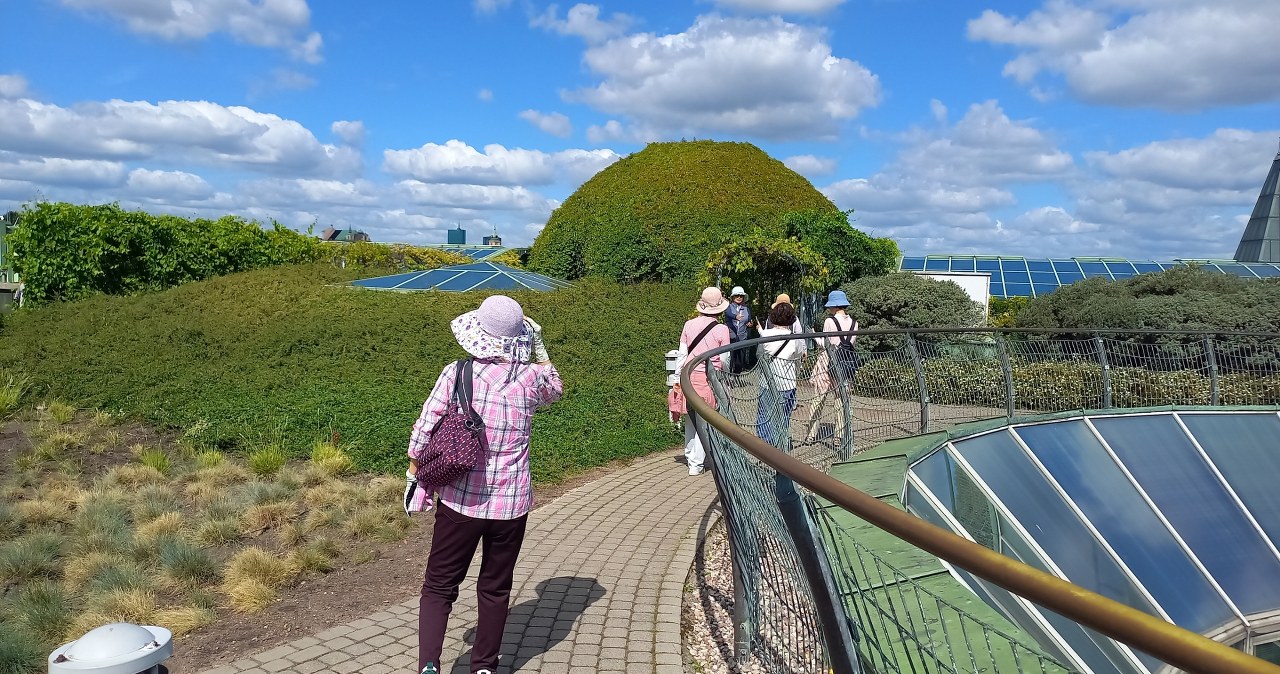 Ogród na dachu Biblioteki Uniwersyteckiej w Warszawie