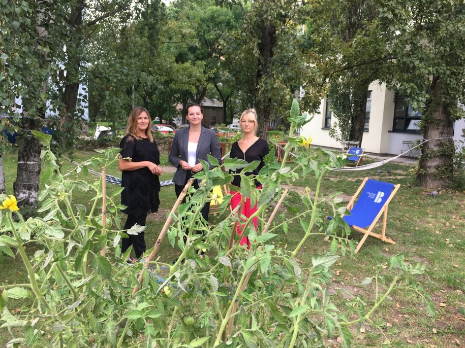 Ogród na terenie Biblioteki Rozgrywka /lodz.pl /Materiały prasowe