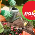 Ogród na wiosnę z Polomarketu. Najlepsze promocje i praktyczne wskazówki dla każdego