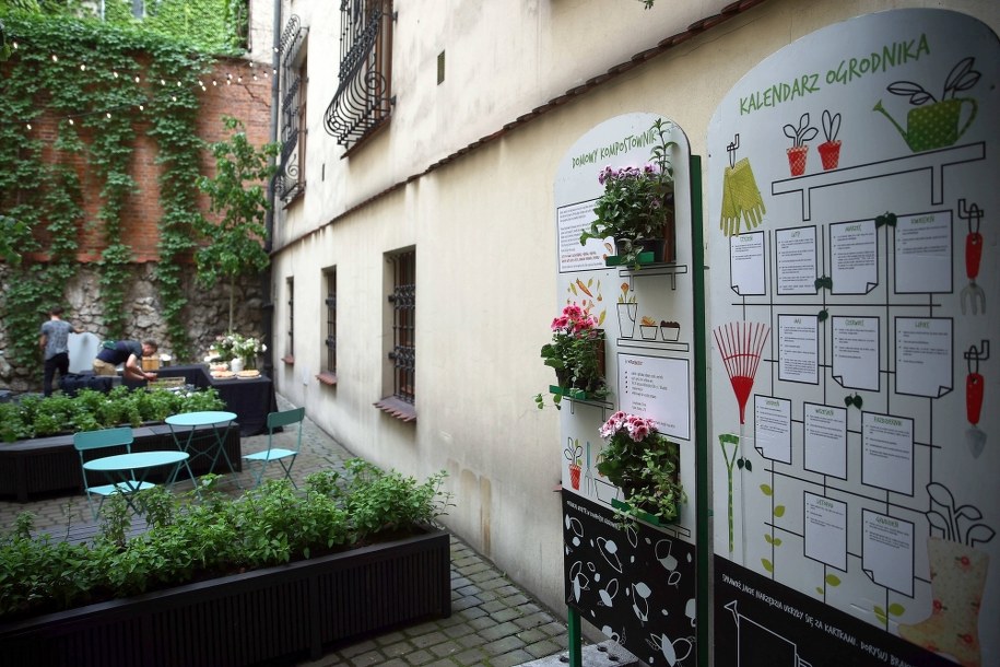 Ogród społeczny w Krakowie /	Łukasz Gągulski /PAP