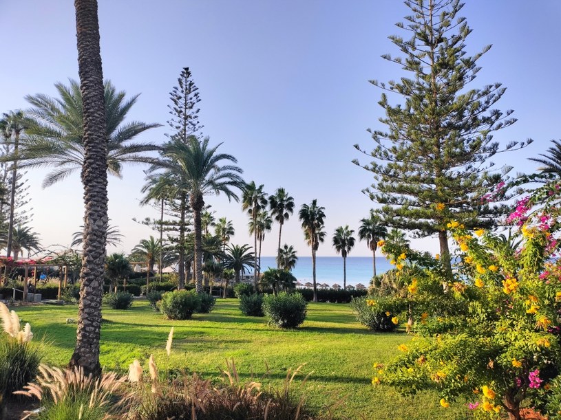 Ogród w Nissi Beach Hotel w Agia Napa /Karolina Burda /INTERIA.PL