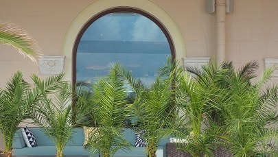 Ogród zimowy dla pacjentów rzeszowskiej Kliniki Hematologii