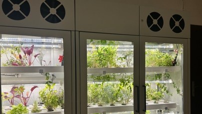 Ogródek na klatce schodowej? Norweski eksperyment na Mokotowie