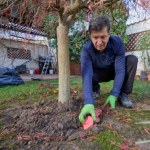 Ogrodnicy biją na alarm. Zrób to zanim ruszy wegetacja