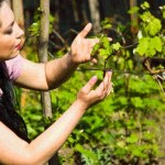 Ogrodnicy miejcie się na baczności. Narażeni nawet doświadczeni działkowcy