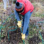 Ogrodnik w lutym ma pełne ręce roboty. Co sieje i co przycina?