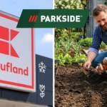 nasiona Ogrodowy niezbędnik Parkside. Przegląd oferty z gazetki Kaufland