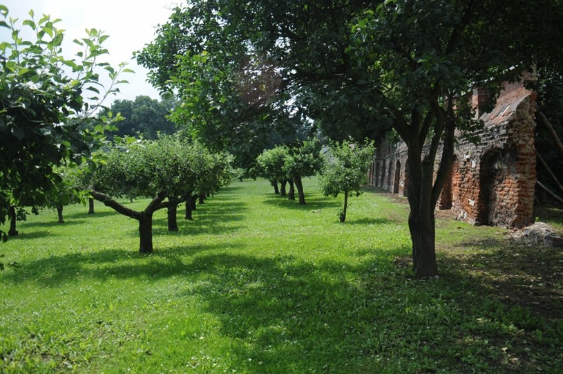 Ogrody klasztorne w Krakowie zajmują spory teren w centrum miasta /Adam Wojnar/Polska Press /East News