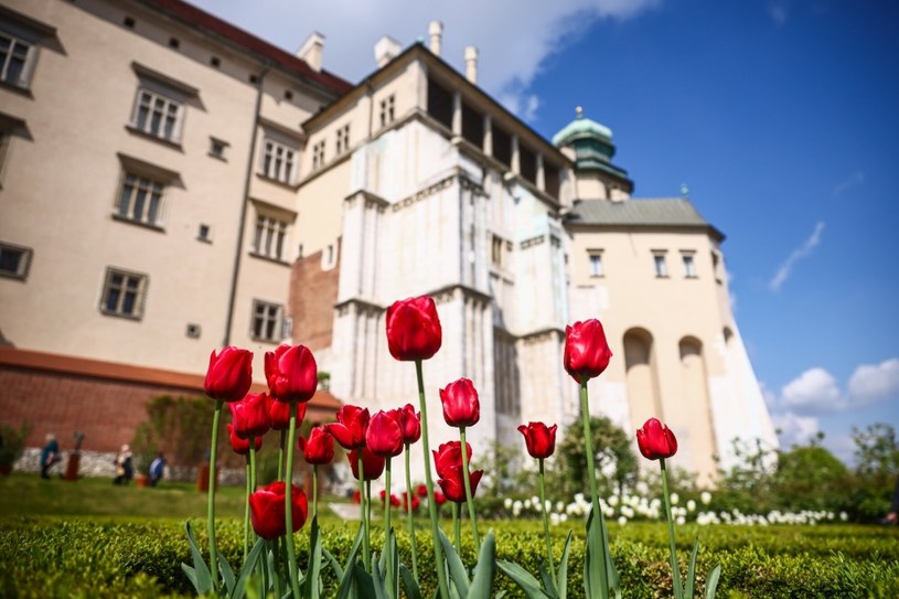 Ogrody Królewskie na Wawelu 25 kwietnia 2024 roku / Beata Zawrzel/REPORTER  /East News